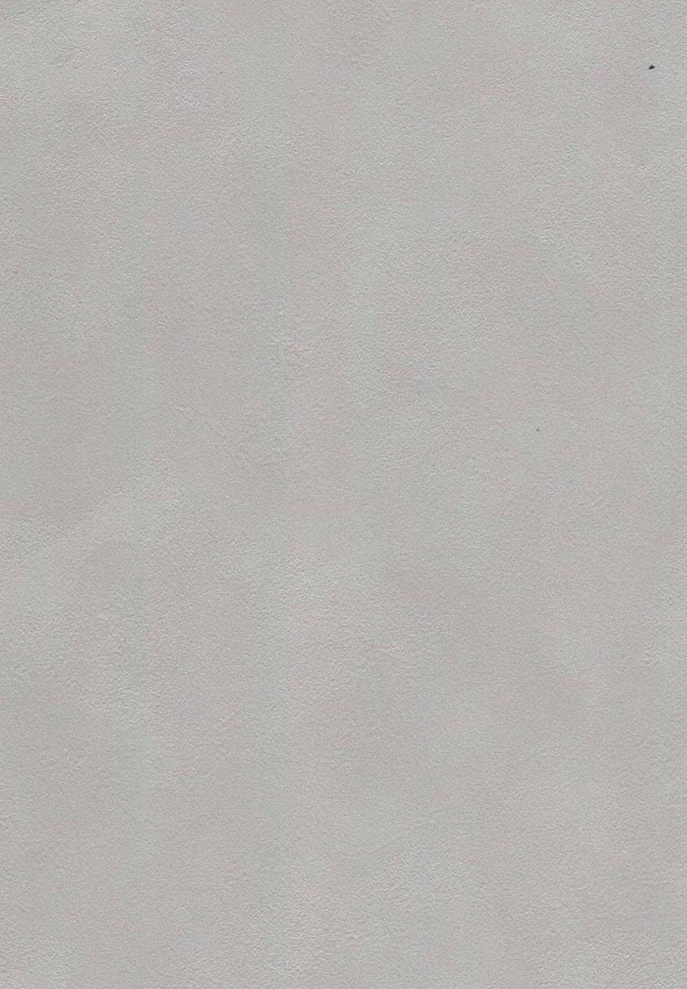 Pale grey Ottocento plaster swatch, matte and finely textured with soft cloudy movement.