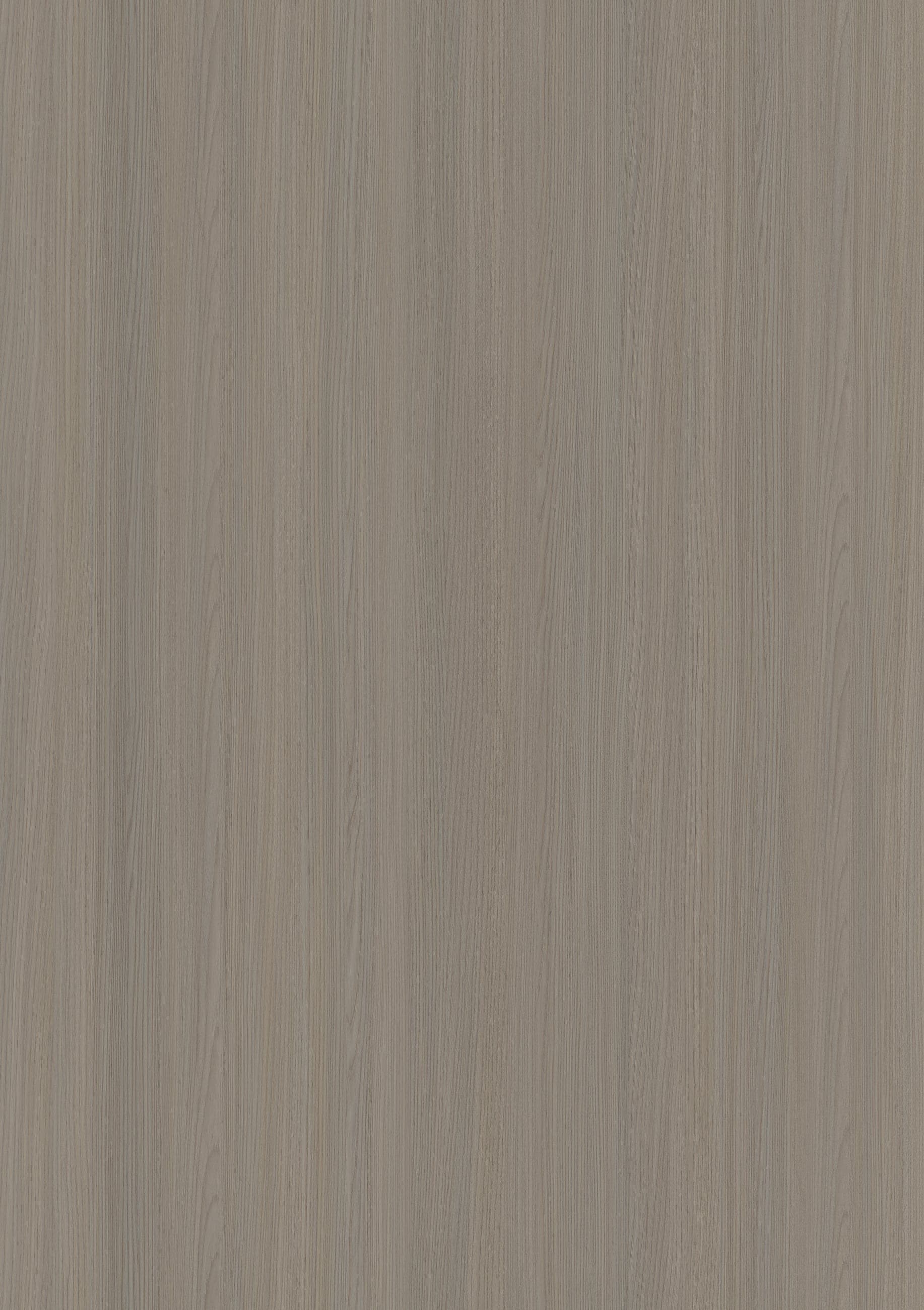 Mid grey-taupe ash swatch with fine, straight, closely spaced vertical grain.