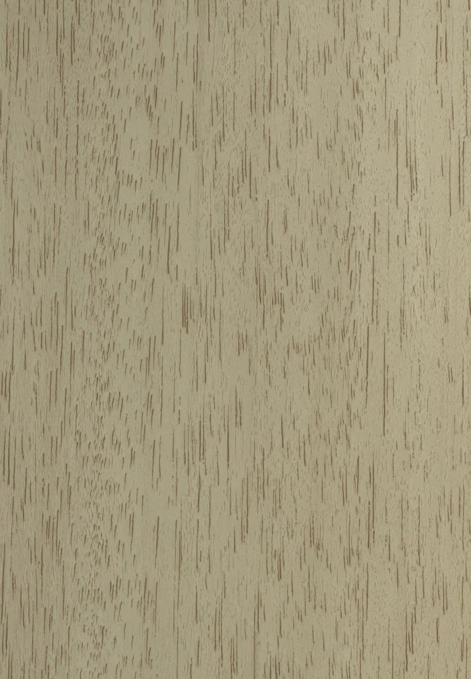 Pale olive-greige oak swatch with fine, closely spaced straight grain.