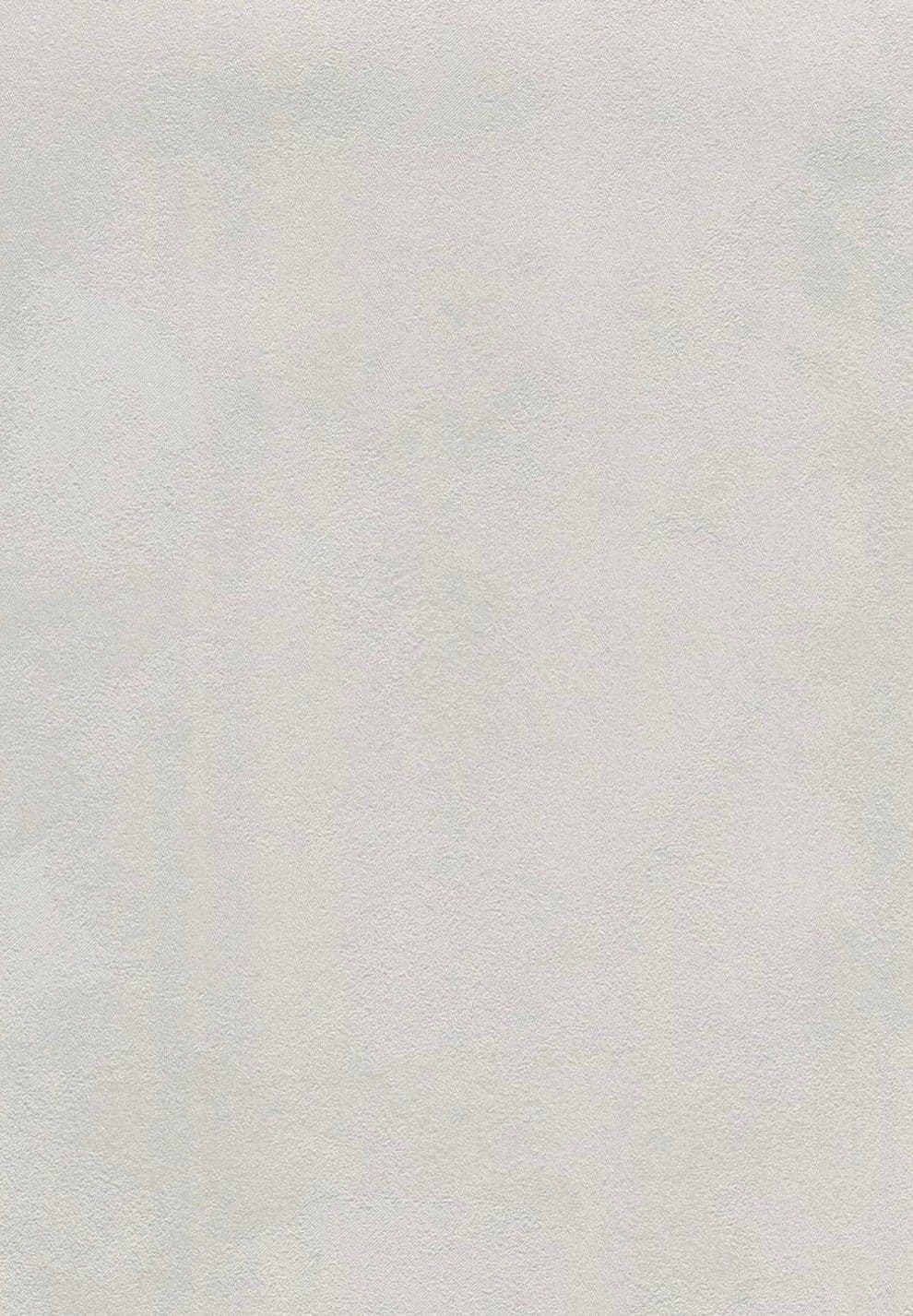 Near-white Ottocento plaster swatch, matte and finely textured with faint cloudy movement.