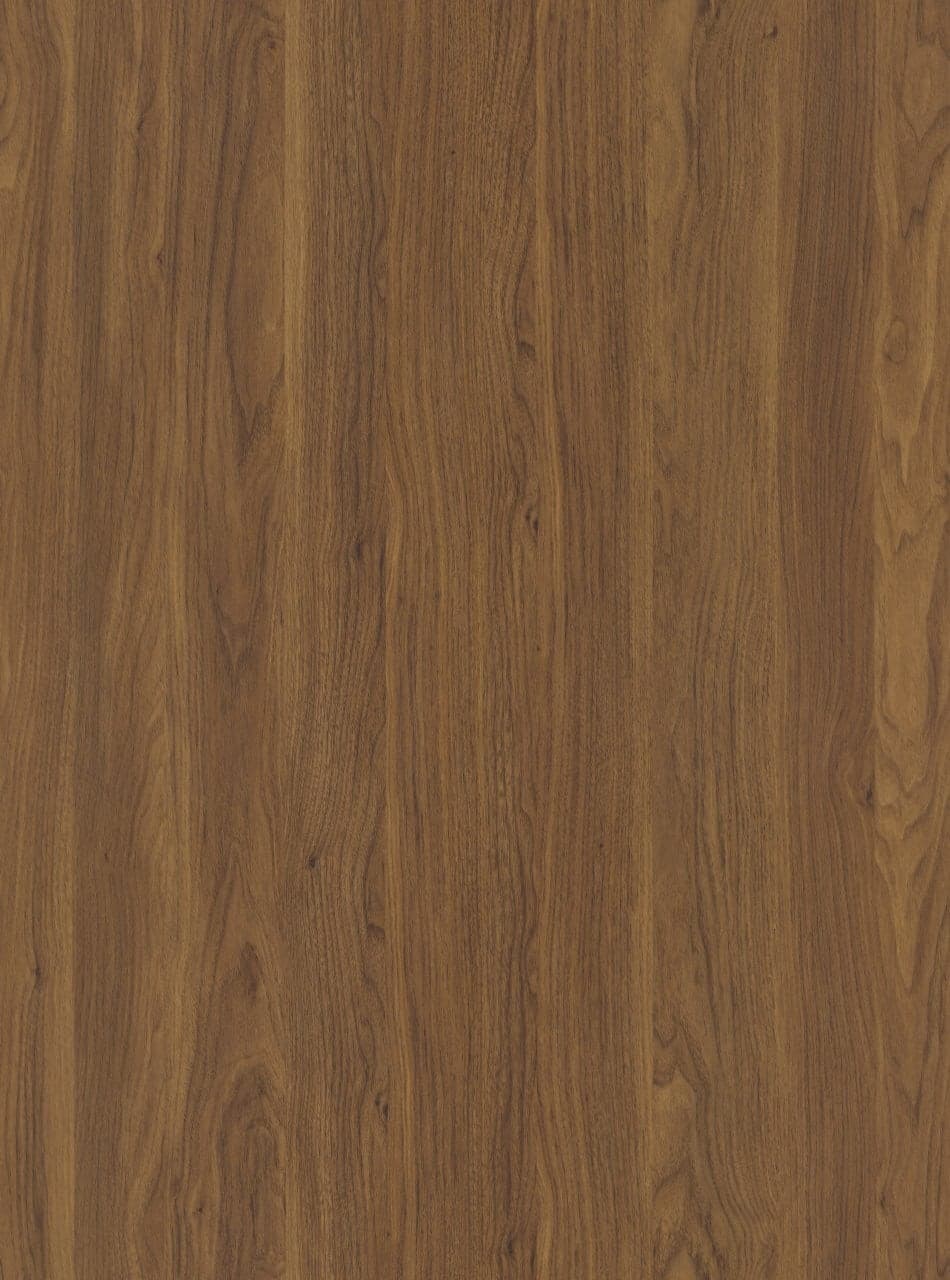 Deep golden-brown oak swatch with strongly separated grain and a pronounced cathedral figure.