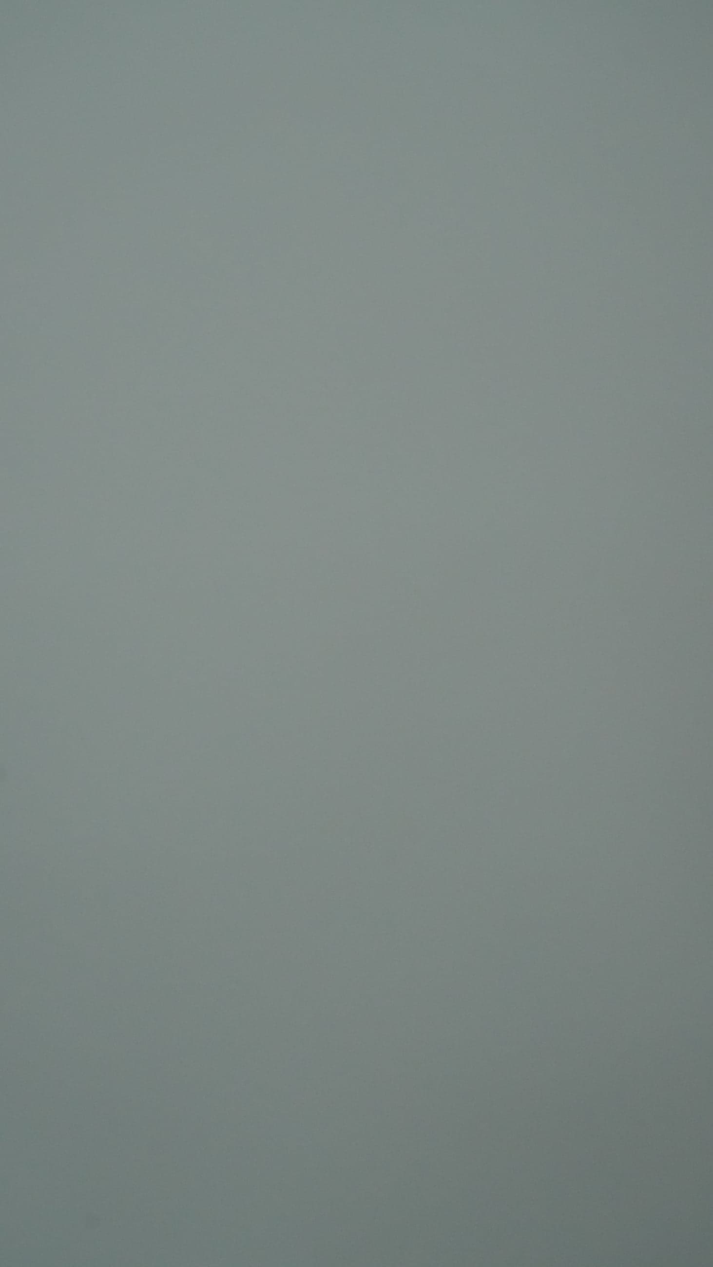Flat, matte soft grey-green swatch with no texture or figure.